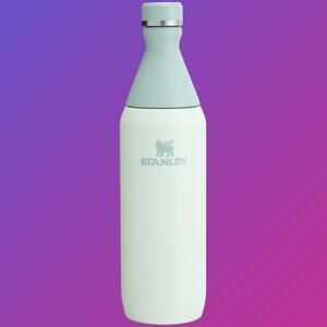 Stanley All Day Slim Bottle 20oz Double Wall Insulated Stainless Steel Mist